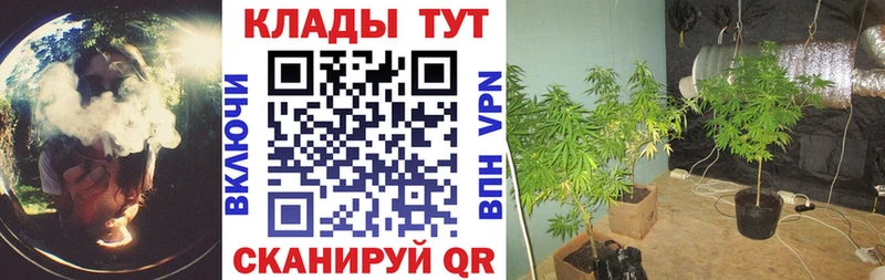 Где купить наркотики Черноголовка Конопля A PVP Меф мяу мяу