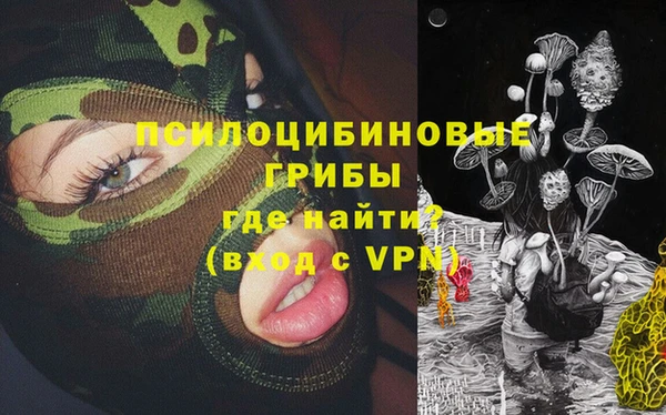 МДПВ Строитель