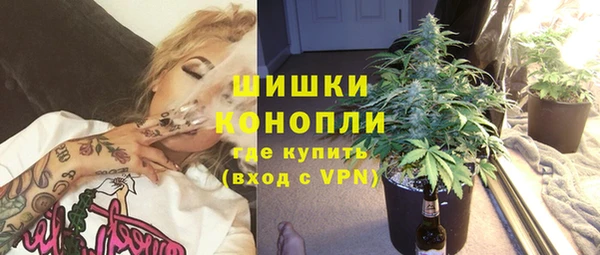 ГАЛЛЮЦИНОГЕННЫЕ ГРИБЫ Ступино