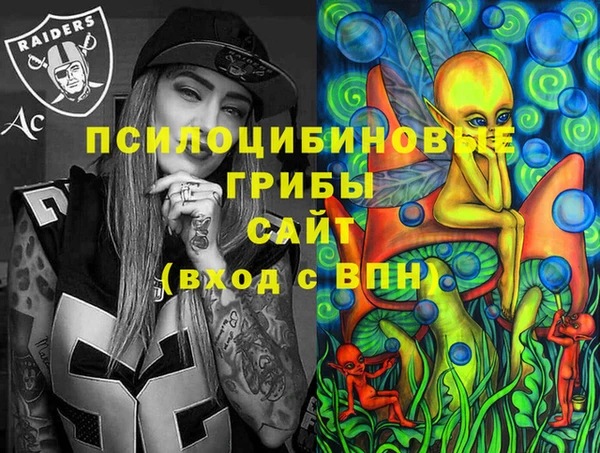 прущие грибы Нягань